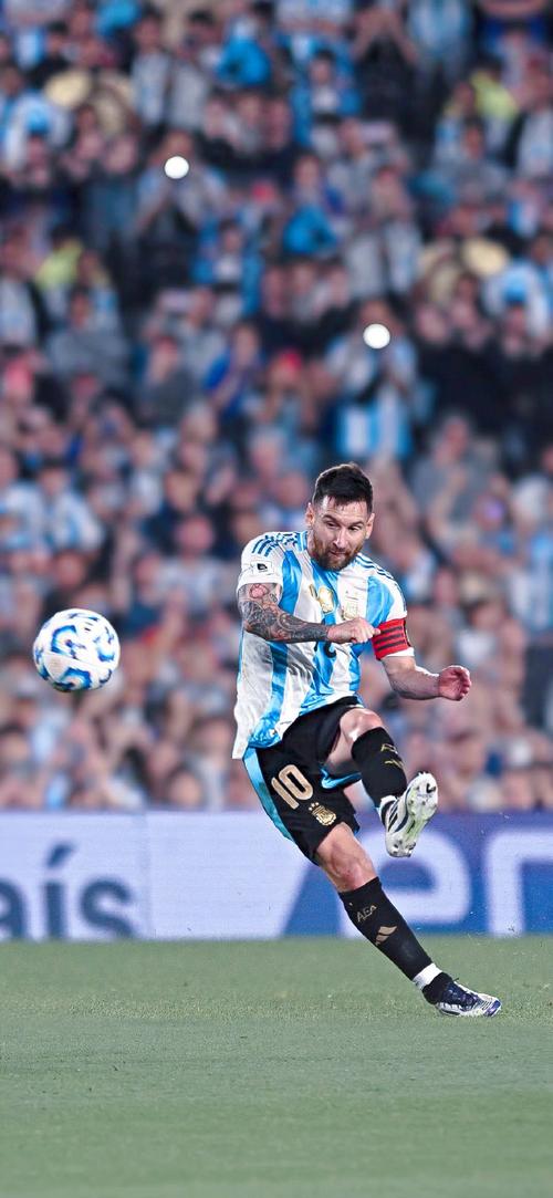 杨瀚森未登场布伦森26分 开拓者不敌尼克斯结束5连胜