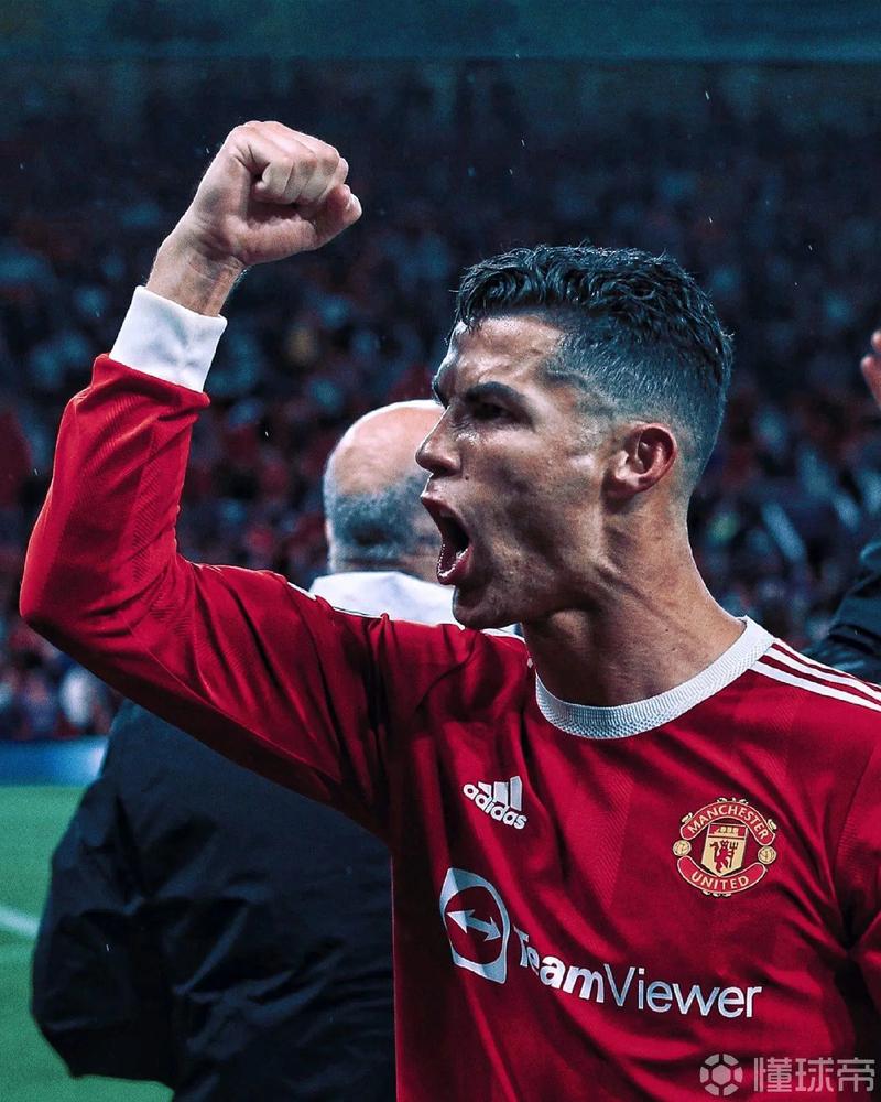 《暖途》登陆Steam 特别好评治愈系动物大篷车冒险