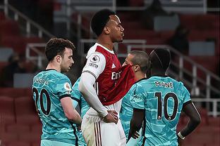 双子仍为P站热门！《原子之心》工作室发布2025年总结